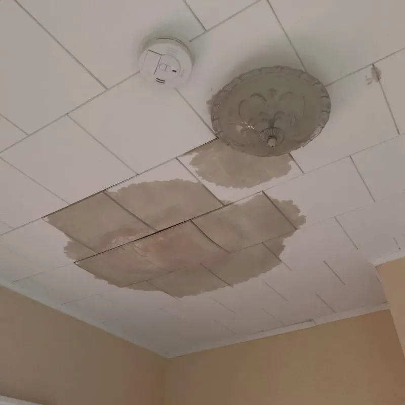 Ceiling Water Damage Repair in North Beach, MD