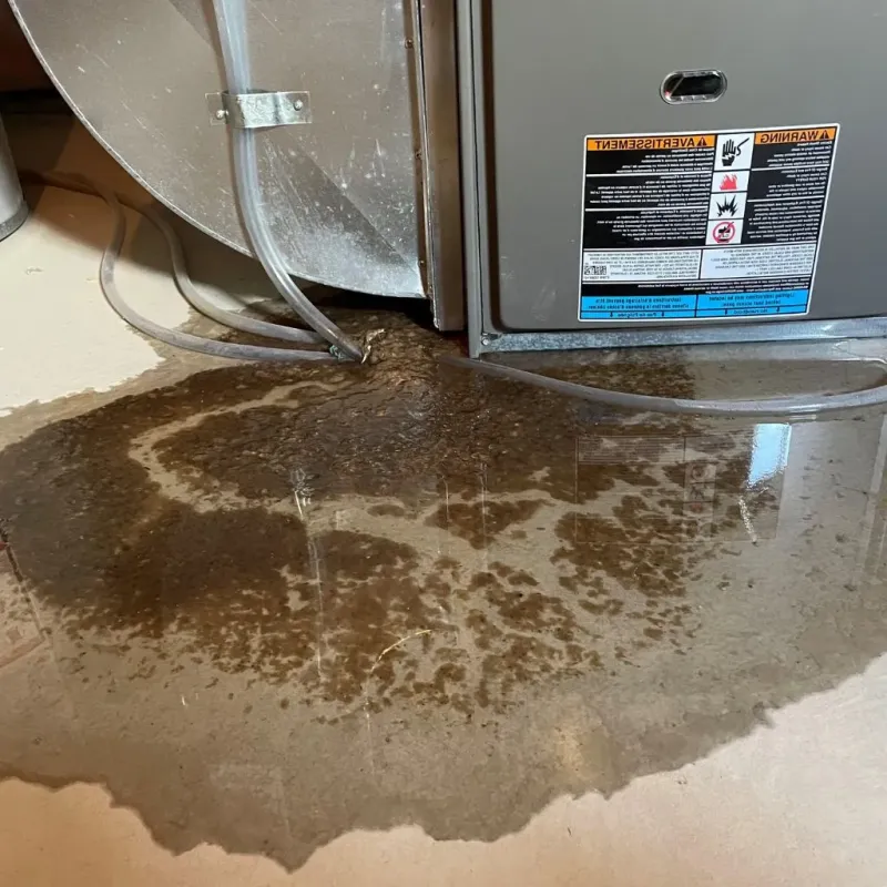 Pipe Burst and Leak Restoration in North Beach, MD